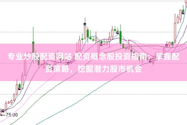 专业炒股配资网站 配资概念股投资指南：掌握配资策略，挖掘潜力股市机会