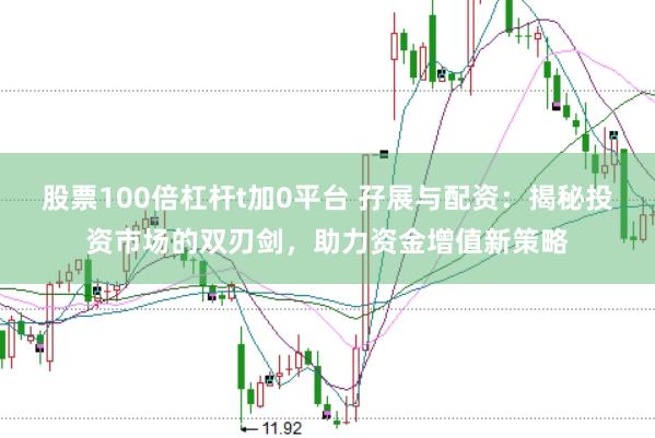 股票100倍杠杆t加0平台 孖展与配资：揭秘投资市场的双刃剑，助力资金增值新策略