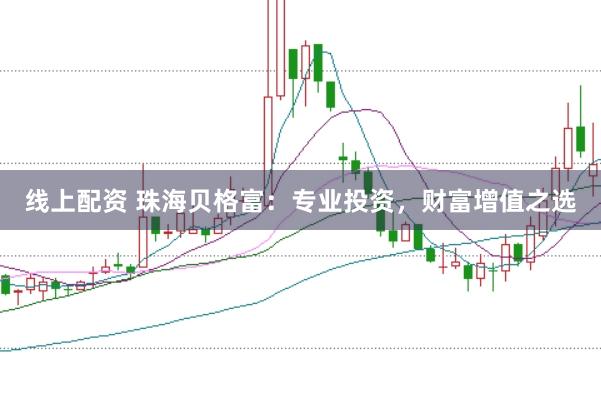 线上配资 珠海贝格富：专业投资，财富增值之选