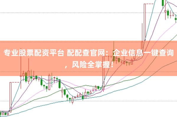 专业股票配资平台 配配查官网：企业信息一键查询，风险全掌握！