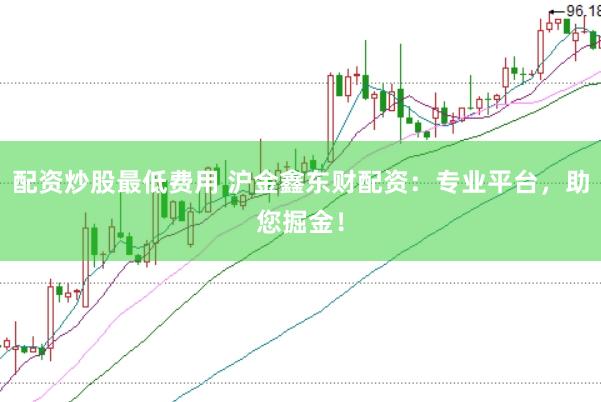 配资炒股最低费用 沪金鑫东财配资：专业平台，助您掘金！