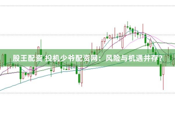 股王配资 投机少爷配资网：风险与机遇并存？