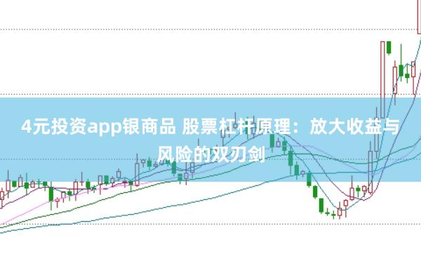 4元投资app银商品 股票杠杆原理：放大收益与风险的双刃剑