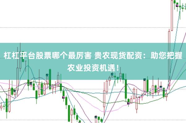 杠杠平台股票哪个最厉害 贵农现货配资：助您把握农业投资机遇！