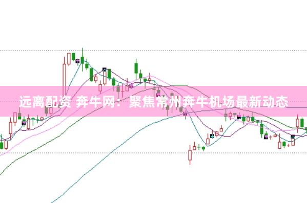 远离配资 奔牛网：聚焦常州奔牛机场最新动态