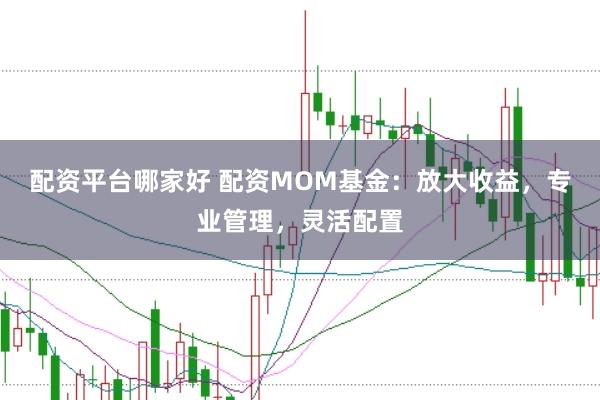 配资平台哪家好 配资MOM基金：放大收益，专业管理，灵活配置