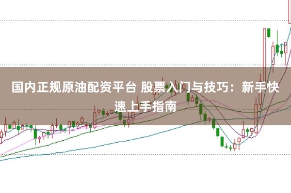 国内正规原油配资平台 股票入门与技巧：新手快速上手指南