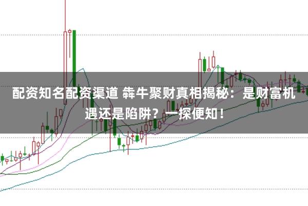 配资知名配资渠道 犇牛聚财真相揭秘：是财富机遇还是陷阱？一探便知！