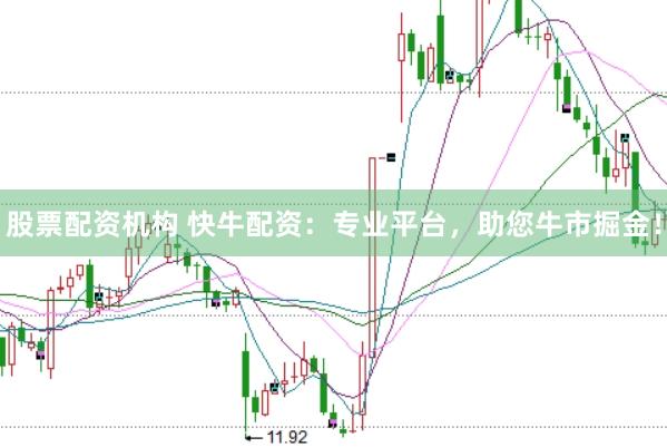股票配资机构 快牛配资：专业平台，助您牛市掘金！
