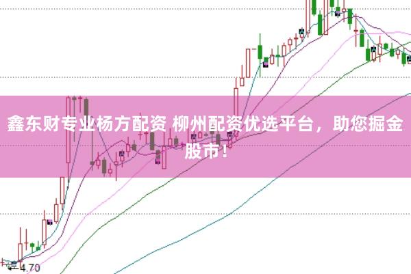 鑫东财专业杨方配资 柳州配资优选平台，助您掘金股市！