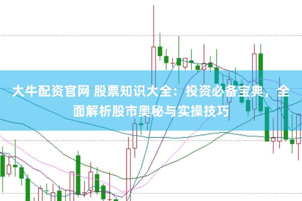 大牛配资官网 股票知识大全：投资必备宝典，全面解析股市奥秘与实操技巧