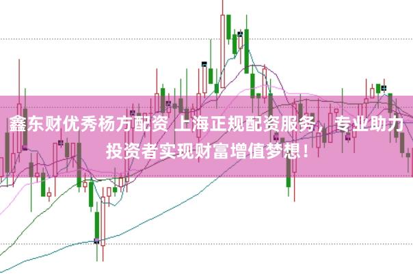 鑫东财优秀杨方配资 上海正规配资服务，专业助力投资者实现财富增值梦想！