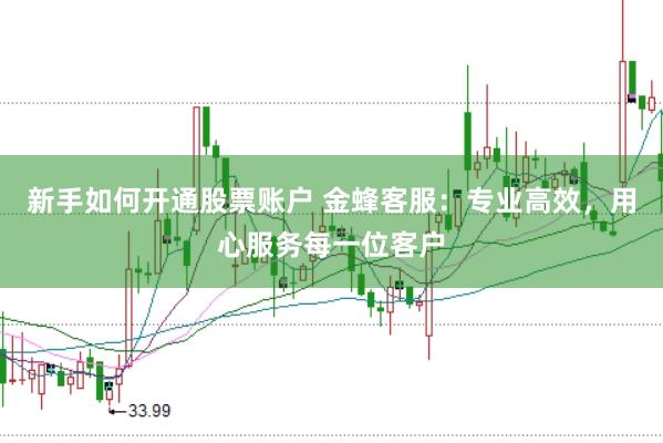 新手如何开通股票账户 金蜂客服：专业高效，用心服务每一位客户